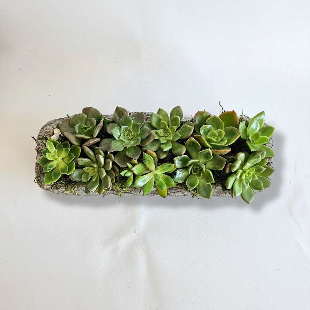 Succulent Log Planter