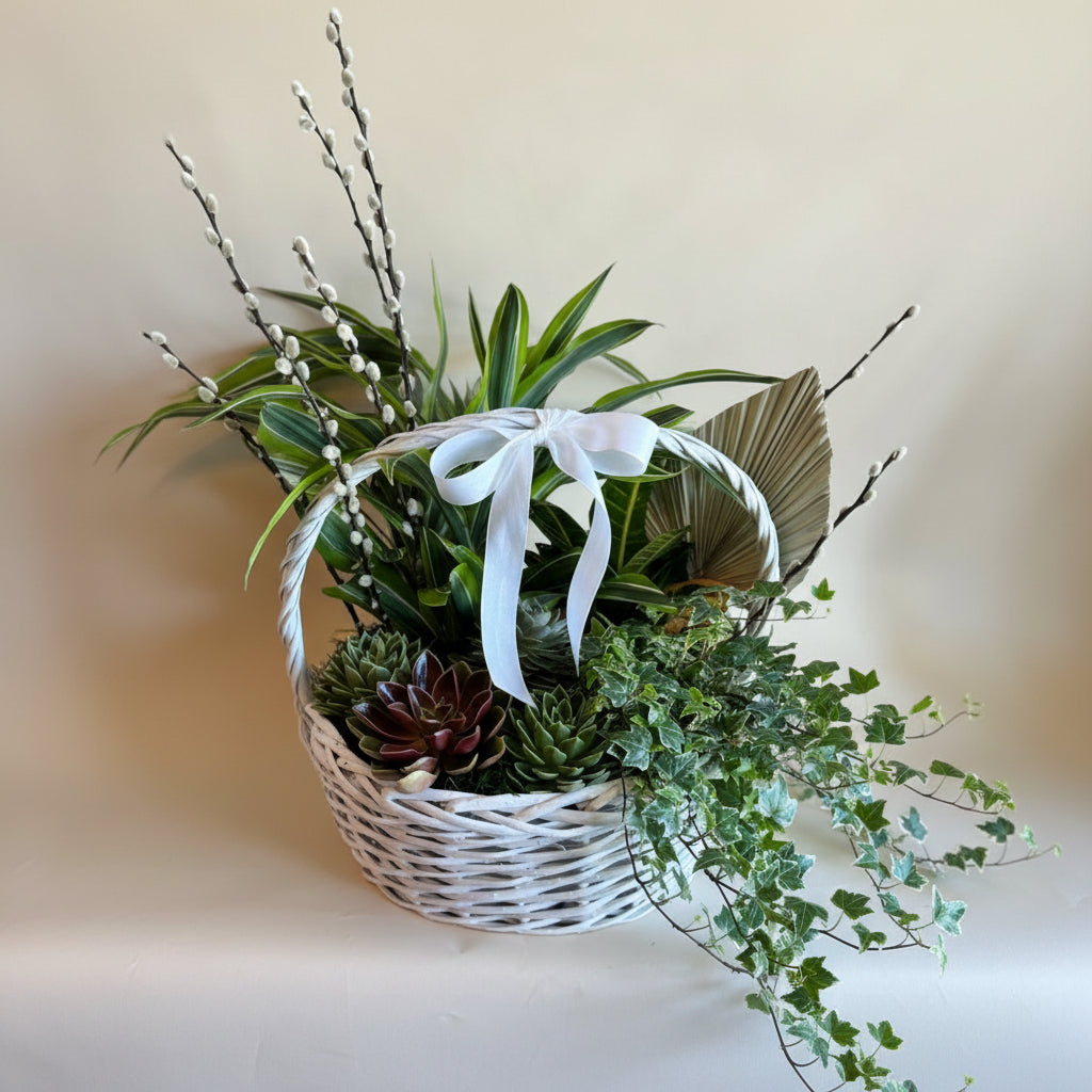 Dish Garden