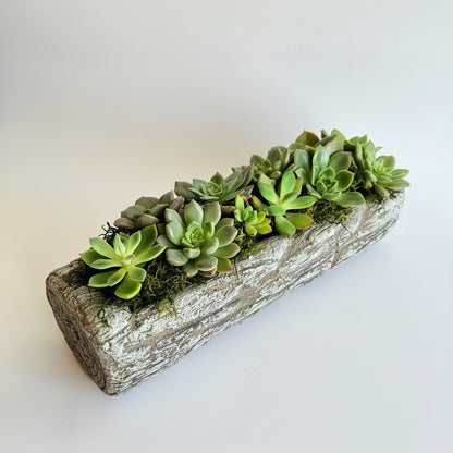 Succulent Log Planter