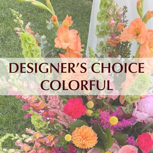 Designer’s Choice: Colorful