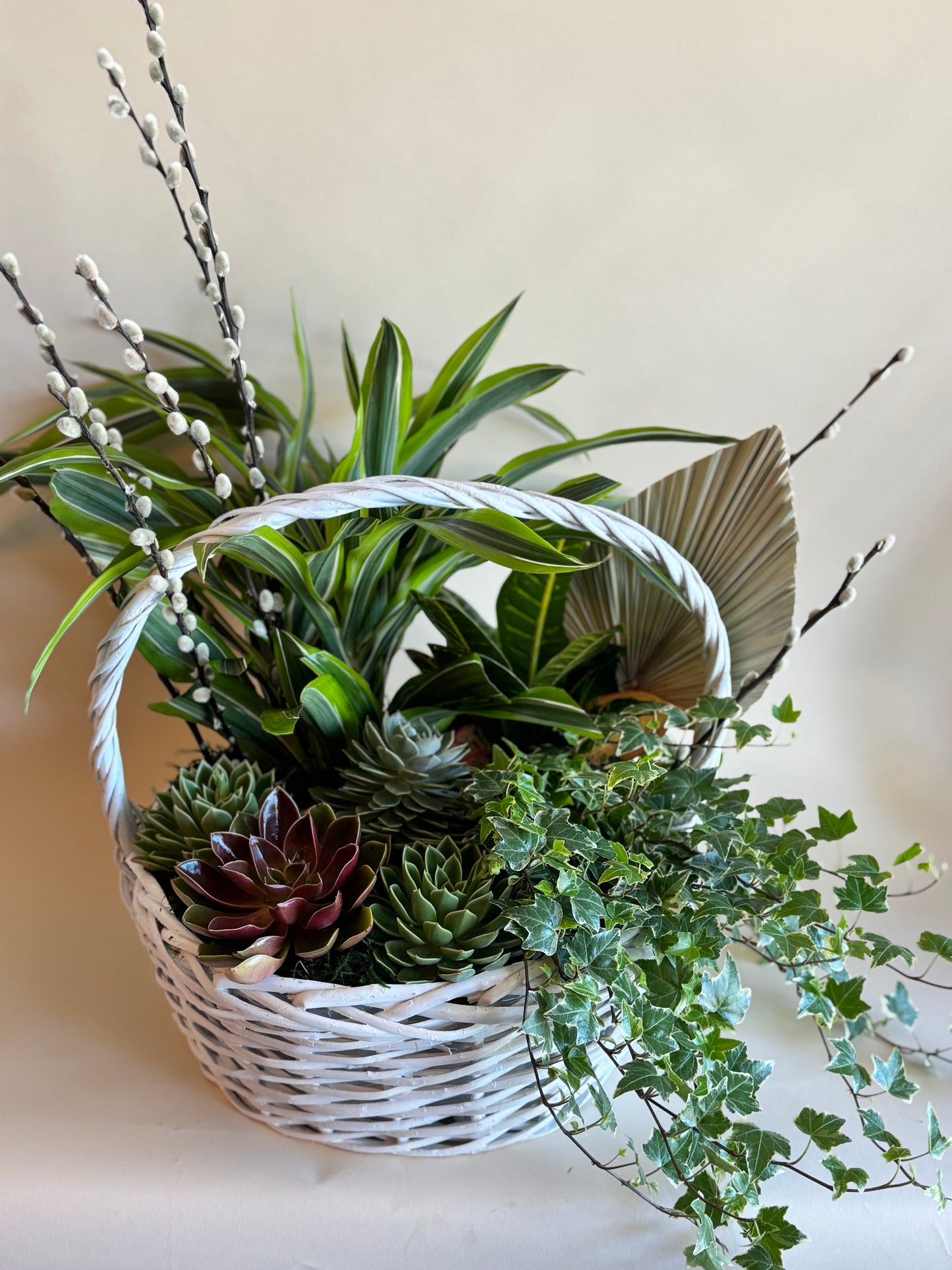 Dish Garden